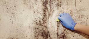 Best-Practices-To-Prevent-Mold-In-House-Springfield-MO