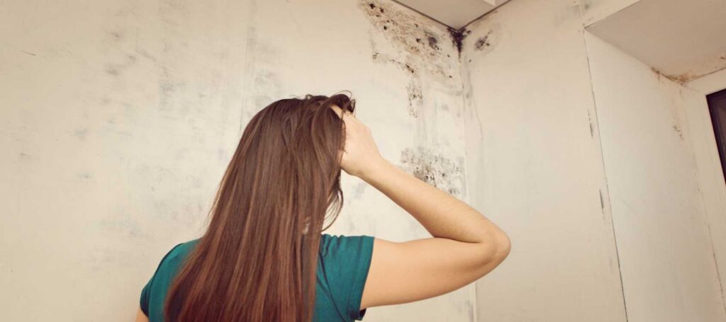 How-to-Spot-Mold-in-Your-Home-Mildew-Removal-Springfield-MO