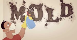 Tips-to-Prevent-Mold-in-Crawl-Spaces-Mold-Cleanup-Springfield-MO