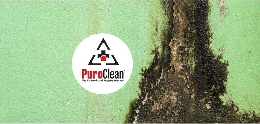 Mold-Insurance-Claims-Mold-In-House-Springfield-Missouri