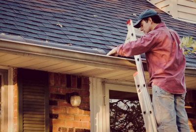 Mold-Prevention-Tips-How-To-Remove-Mold-Springfield-MO