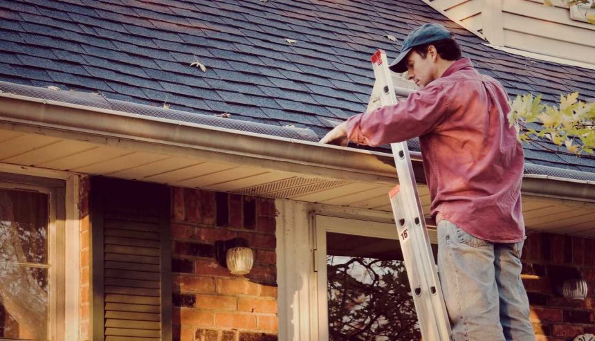 Mold-Prevention-Tips-How-To-Remove-Mold-Springfield-MO
