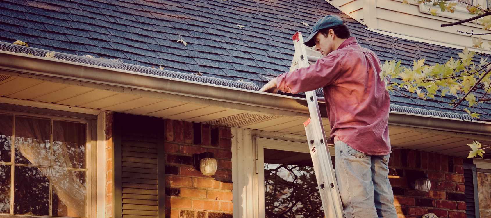 Mold Prevention Tips – How To Remove Mold Springfield MO