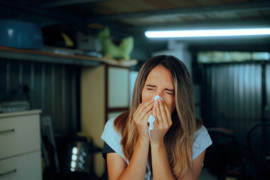 mold in rental properties