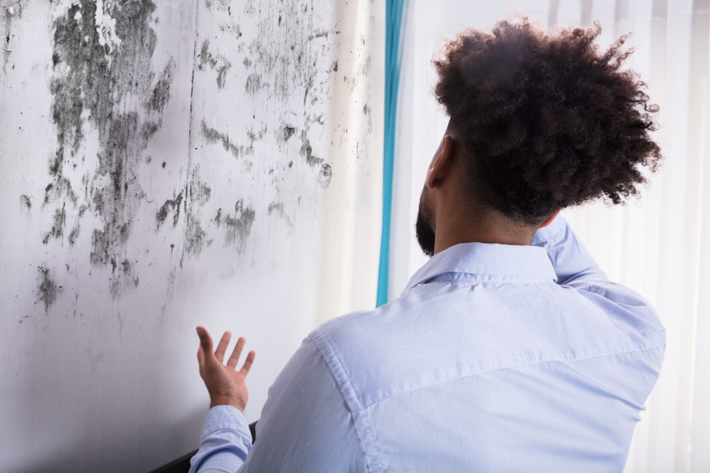 a man finds mold growing on his walls