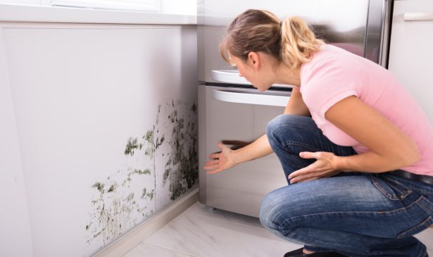 What to Do About Mold Issues During Spring Cleaning