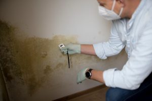 moisture mapping