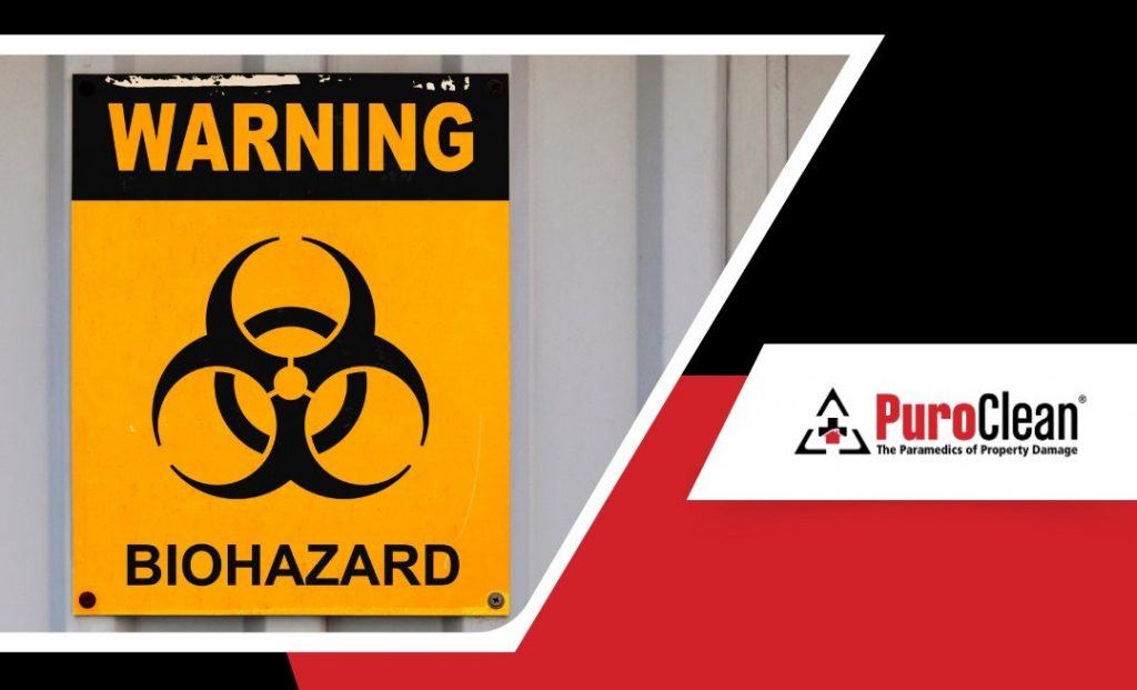 biohazard clanup in Sprinfield
