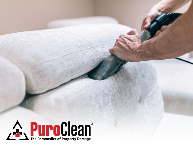 Upholstery Cleaning