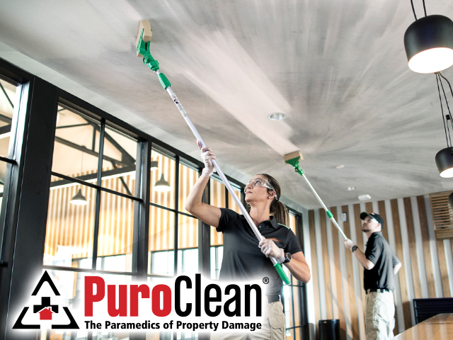 Commercial Property Cleanup