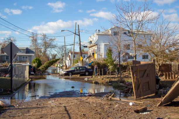 Flood Damage Cleanup Services in Mount Veron