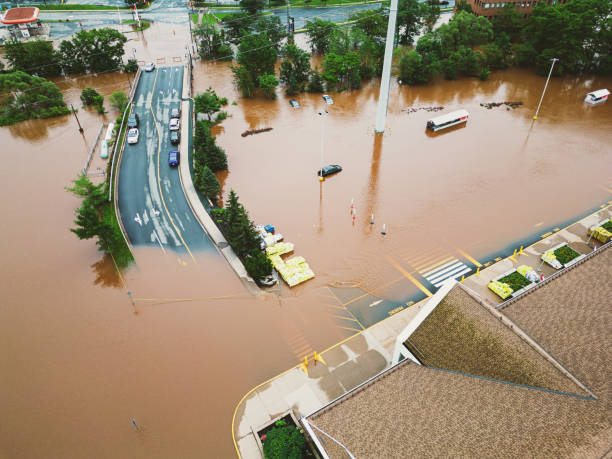 Flood Damage Cleanup