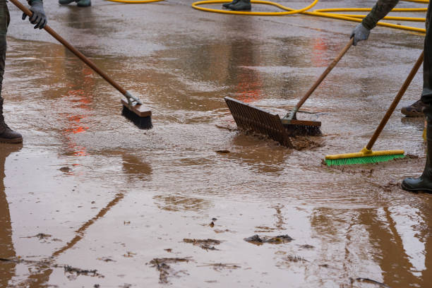 Flood Damage Cleanup Services in the Bronx