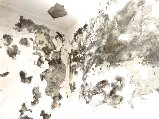 WATER DAMAGE RESTORATION process