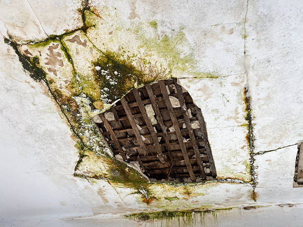 Does Homeowners Insurance Cover Water Damage Restoration cost in Mount Vernon?