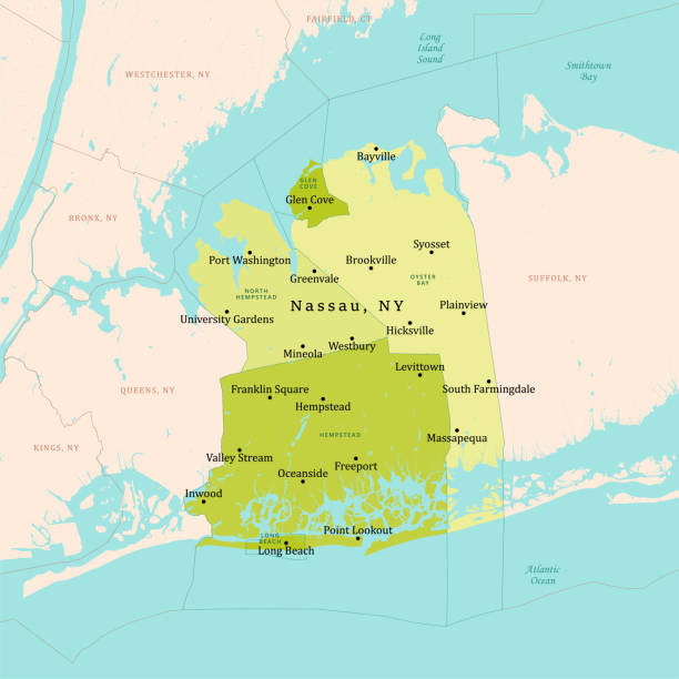 What You Need to Know about 24/7 Quality Mold Inspection in Nassau County
