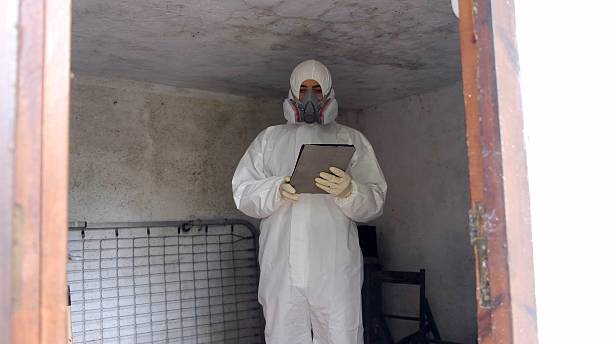 Mold Inspection in the Bronx for Landlords and Property Owners