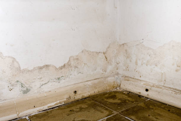 Basement Water Damage Restoration in Brooklyn