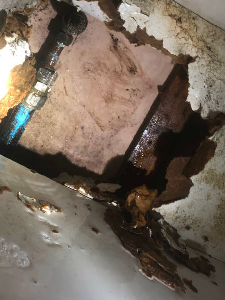 Basement Water Damage Restoration in Brooklyn, NY