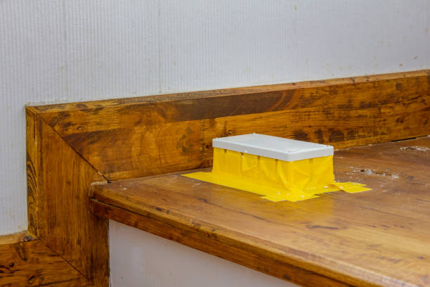 Mold Inspection in Brooklyn