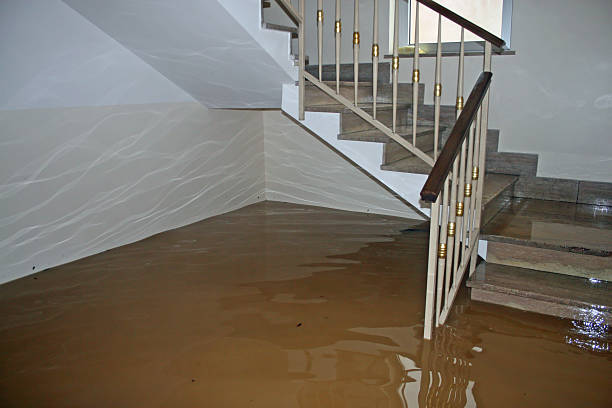 Before and after basement water damage restoration in Nassau County, NY