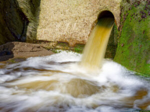 Sewage Backup in Queens