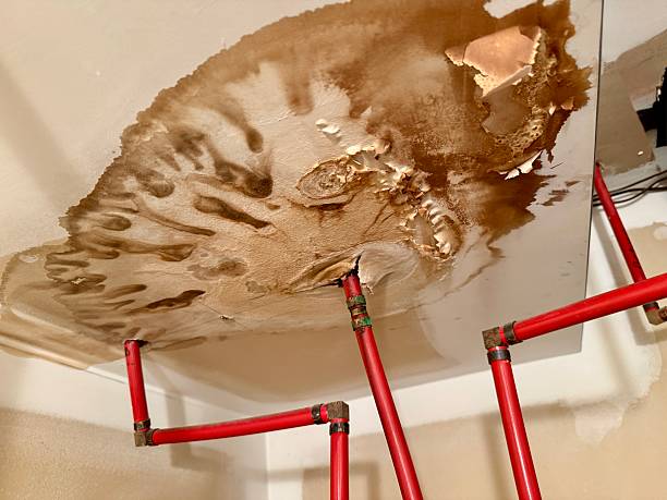 What to Do When you notice a Burst Pipe Repair in Queens, NY (And Who to Call)