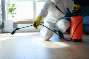Biohazard Cleanup Services in Queens
