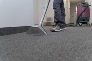 100% Quality Carpet Cleaning Services in Mount Vernon: A Practical Guide