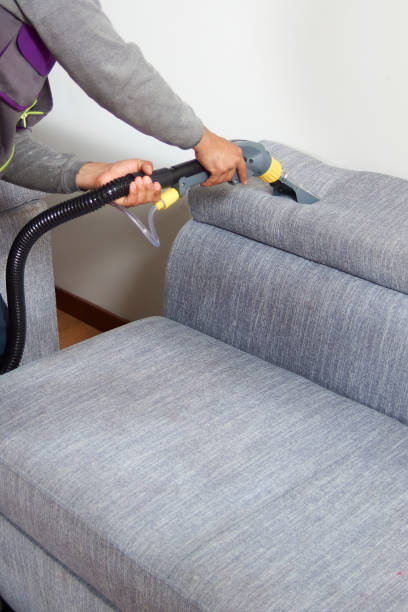Upholstery cleaning in Mount Vernon technician cleaning fabric sofa