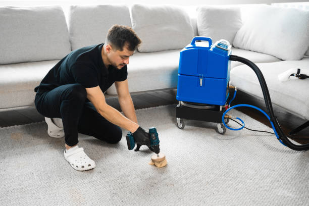 Residential Carpet cleaning services in Brooklyn property