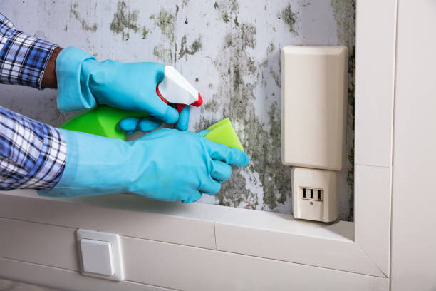 Property Reconstruction Services in the Bronx | 100% Rebuild Guide