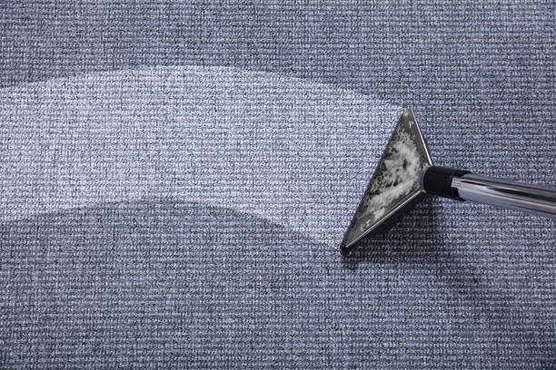 Why Carpet Cleaning Services in the Bronx Looks a Little Different