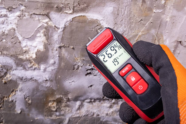 Electronic hygrometer for taking measurements. Accessories for determining the moisture content of building materials as part of the Mold Inspection in Springfield Gardens: Protect Your Home Fast