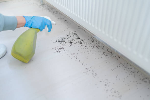 Biohazard Cleanup Services in Queens: Does Your Situation Actually Qualify