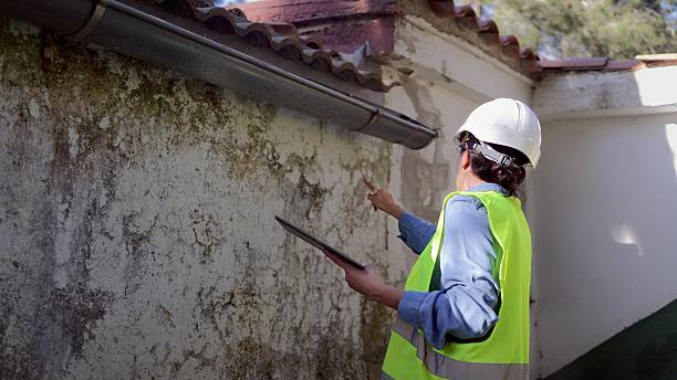 How to carry out Mold Inspection in Mount Vernon in 2027?