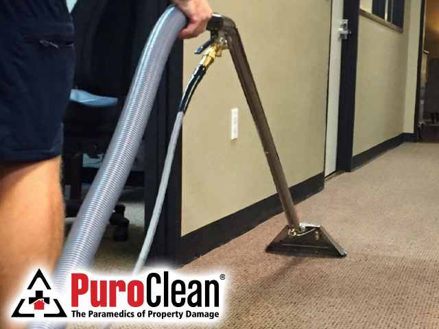 commercial carpet cleaning