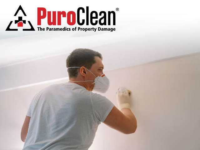 Mold Removal Service