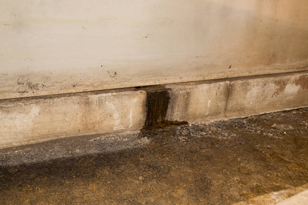 Mold Inspection in Nassau County, NY | 24/7 Emergency Support with Professsional Testing