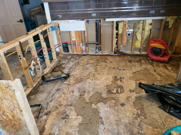 why water damage restoration matters