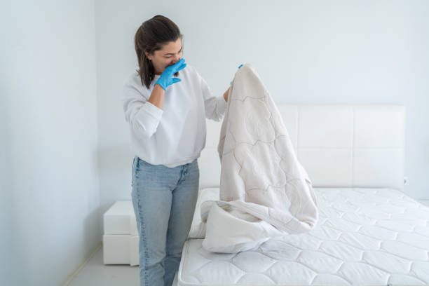 Sewage odor removal and air purification in Queens home