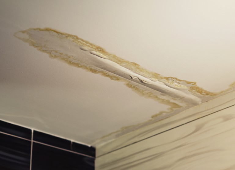 Preventing Mold Growth and Secondary Damage