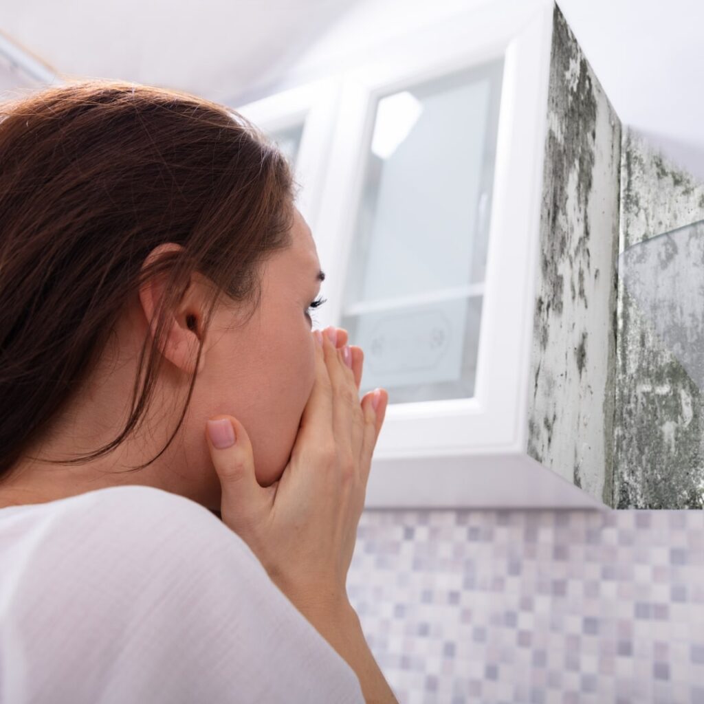 Mold Doesn't Cause Health Problems