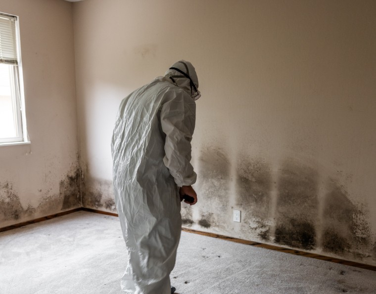 What Removes Mold