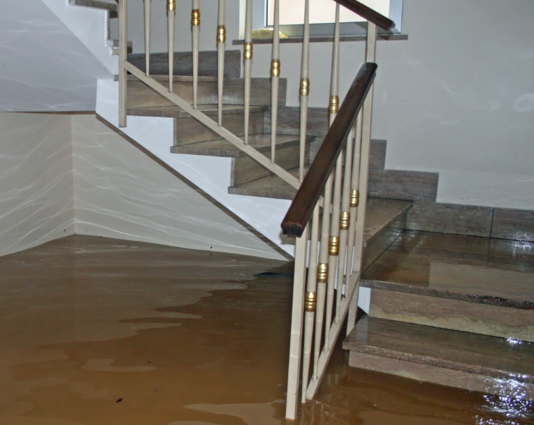 What Is the Typical Cost for Water Damage Restoration in St. Augustine