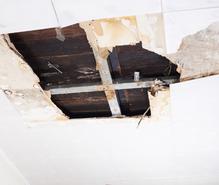 Why I Chose PuroClean Emergency Restoration Services in St. Augustine, FL