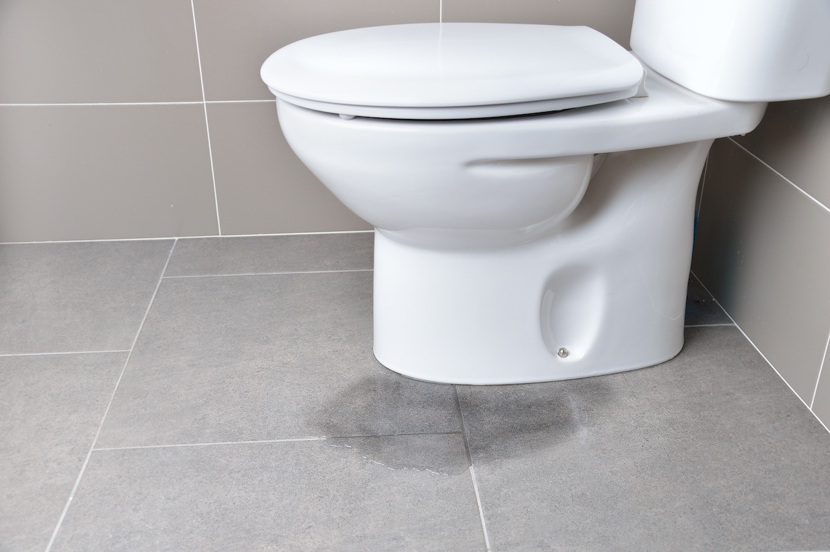 The Silent Leak Under Your Toilet (And Why You Shouldn’t Ignore It)