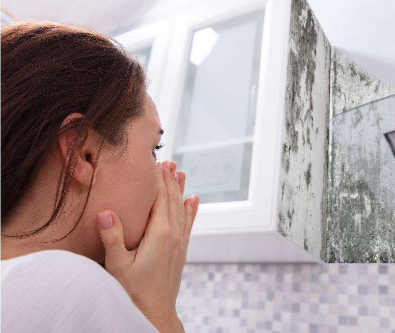 Health Risks Associated with Mold Exposure
