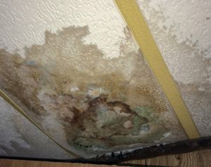 How Timely Water Mitigation Prevents Long-Term Structural Damage