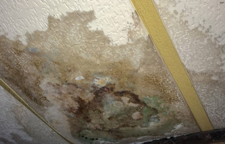 How Timely Water Mitigation Prevents Long-Term Structural Damage